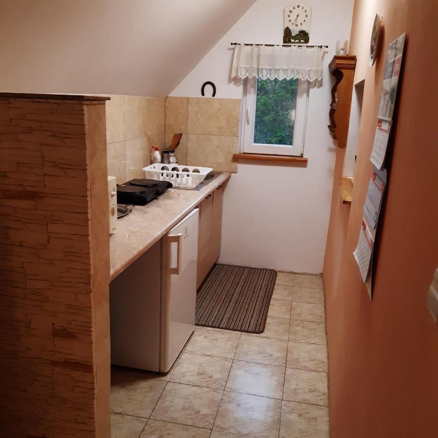 Agroturystyka Brzozowe Wzgorze Wlen Luaran gambar